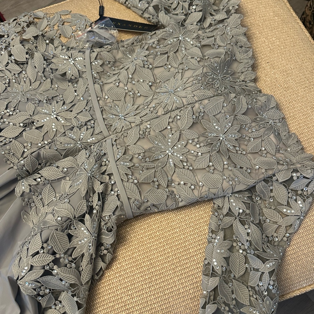 ✔️#77B BNWT ALEXANDER BY DAYMOR EVENING GOWN IN TAUPE #1275